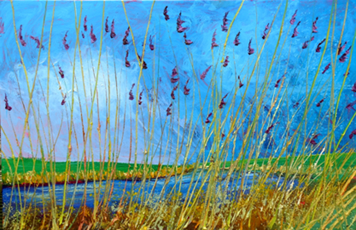 Gertjan Scholte-Albers Riet